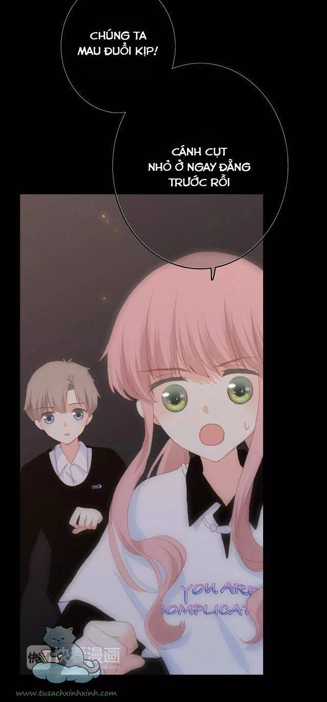 Con Tim Rung Động Chapter 65.2 - 48