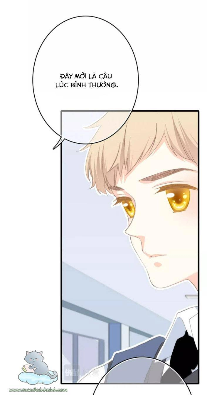 Con Tim Rung Động Chapter 71 - 50