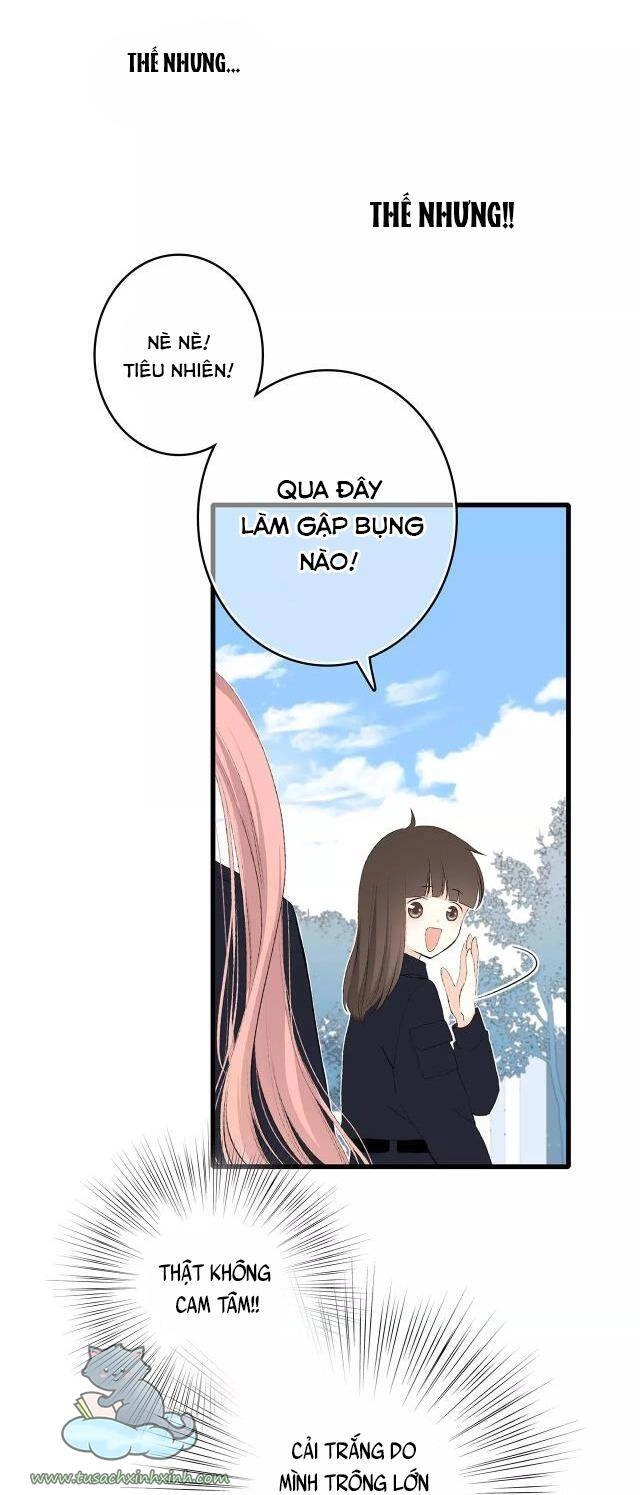 Con Tim Rung Động Chapter 76.1 - 14