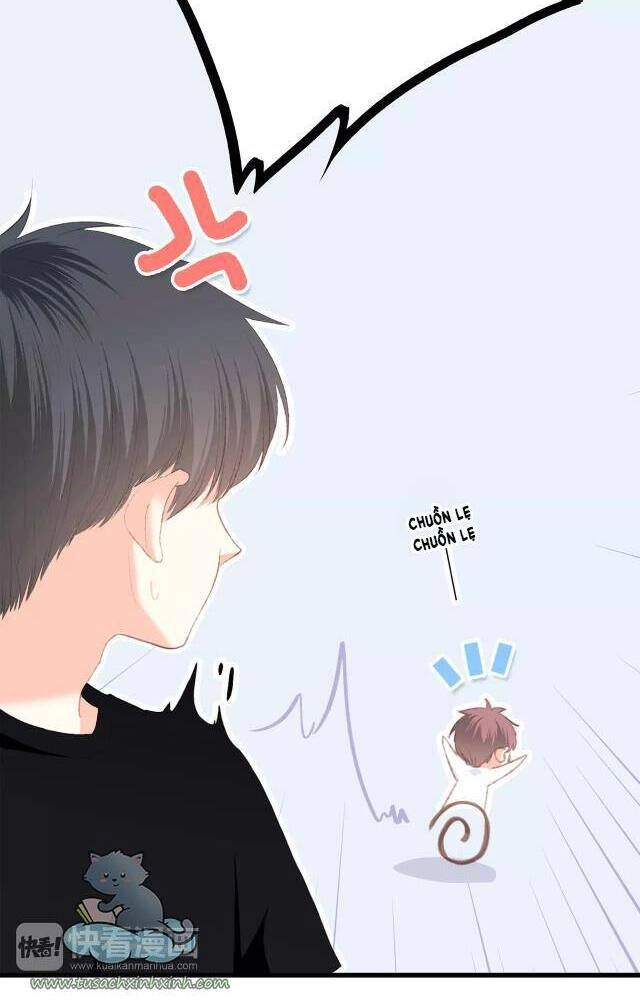 Con Tim Rung Động Chapter 79 - 21