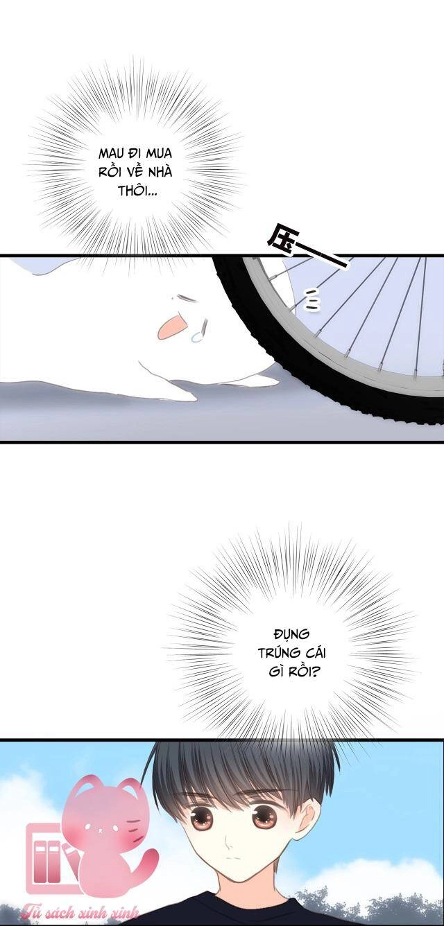 Con Tim Rung Động Chapter 133 - 29