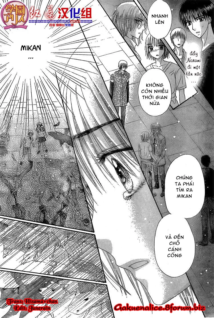 Học Viện Alice Chapter 135 - 16