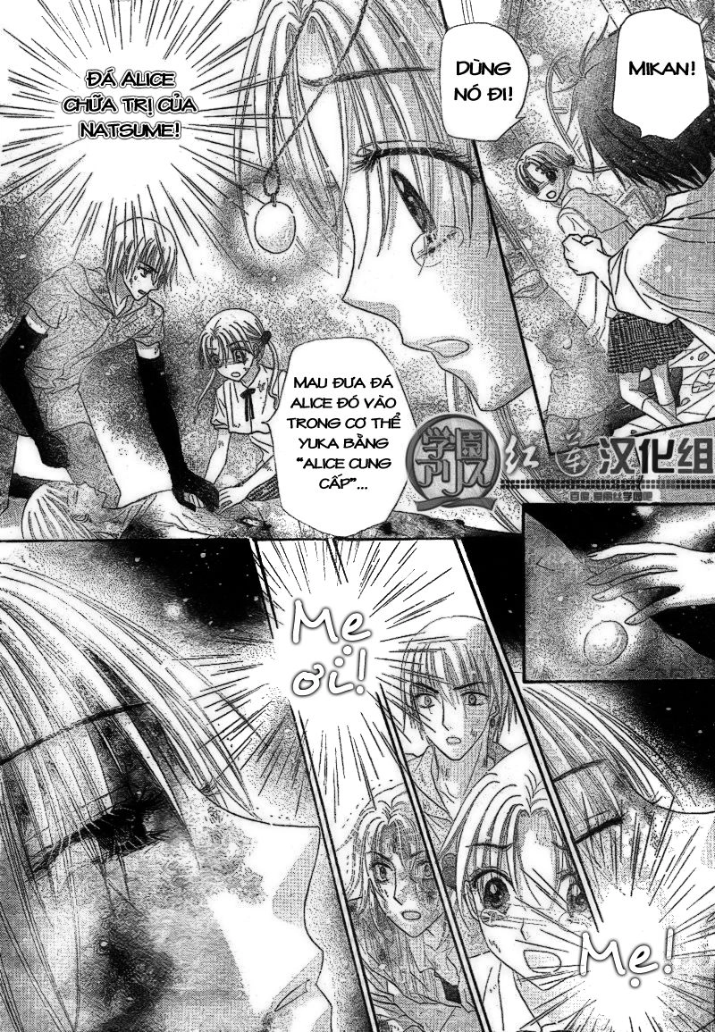 Học Viện Alice Chapter 137 - 12