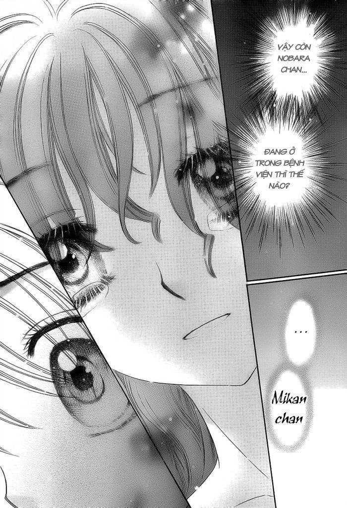 Học Viện Alice Chapter 155 - 12