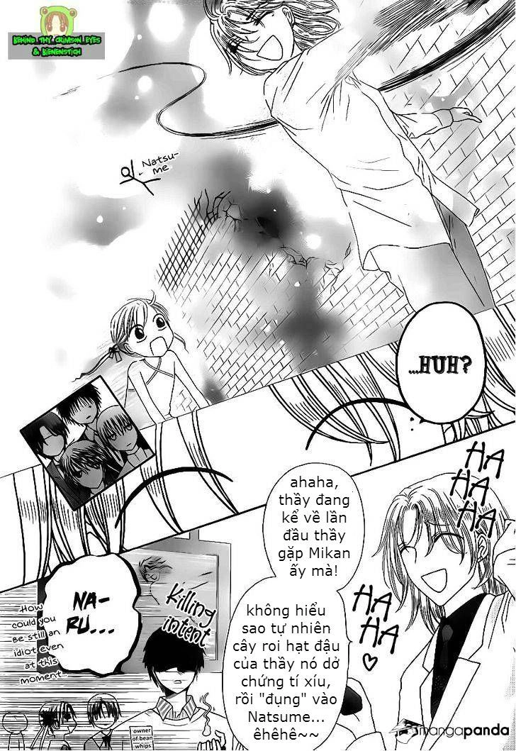 Học Viện Alice Chapter 170 - 4