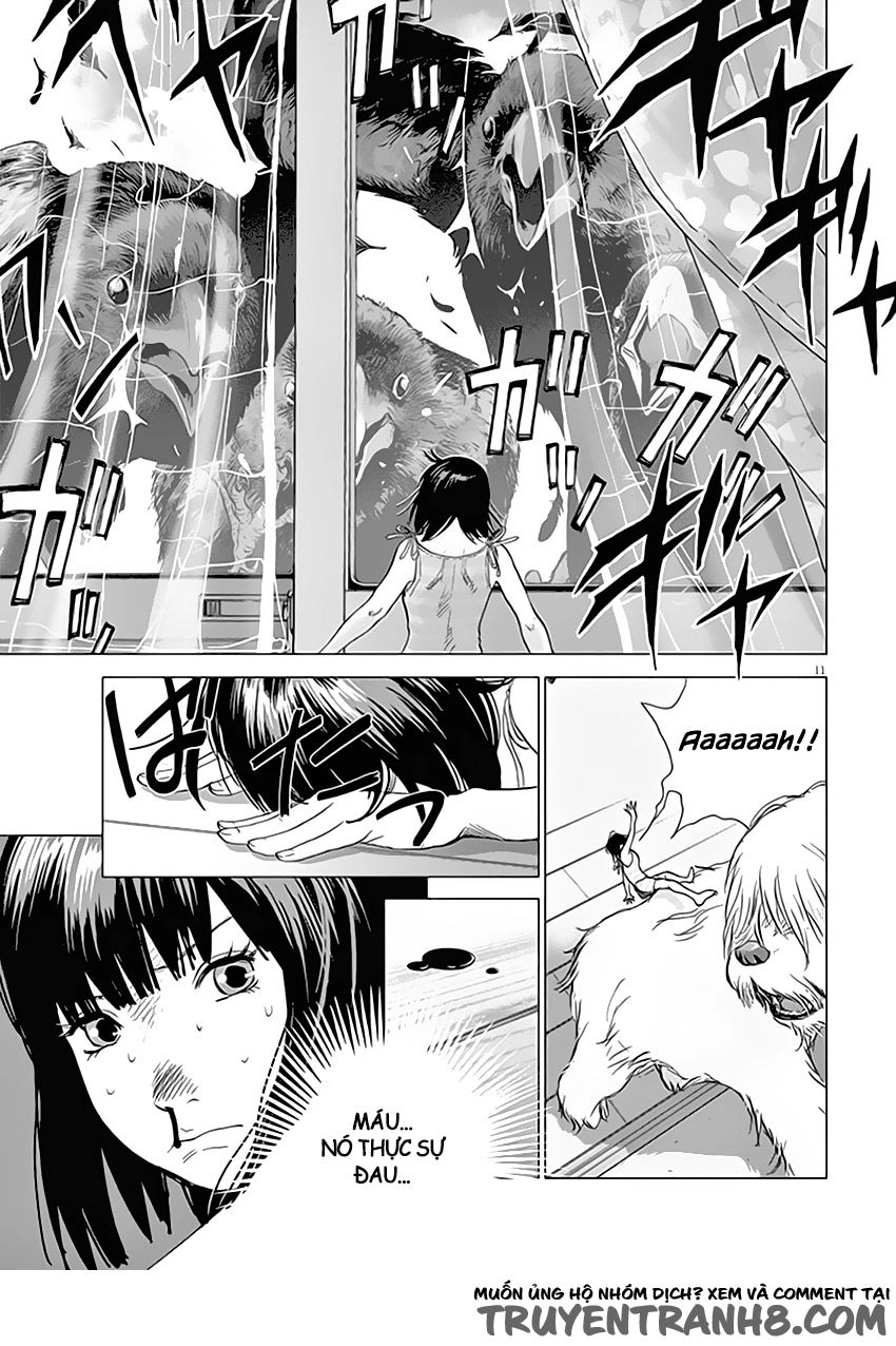 Vùng Đất Kì Diệu Chapter 1 - 13