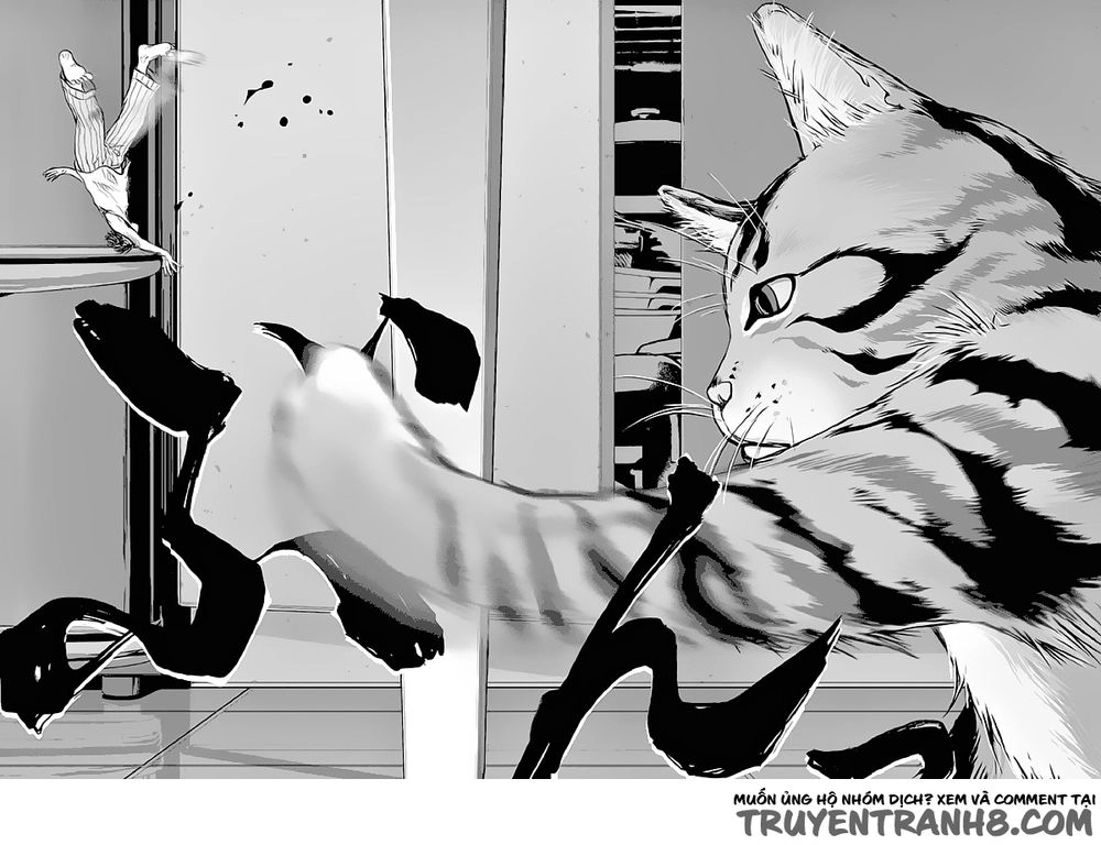 Vùng Đất Kì Diệu Chapter 1 - 18