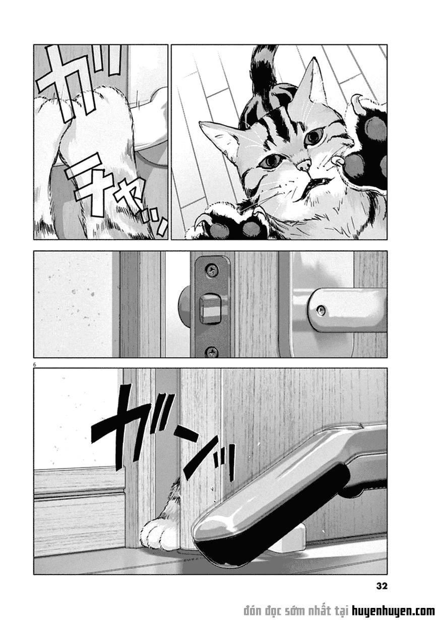 Vùng Đất Kì Diệu Chapter 2 - 6