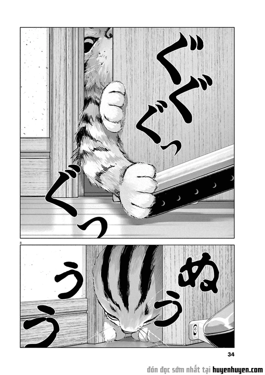 Vùng Đất Kì Diệu Chapter 2 - 8