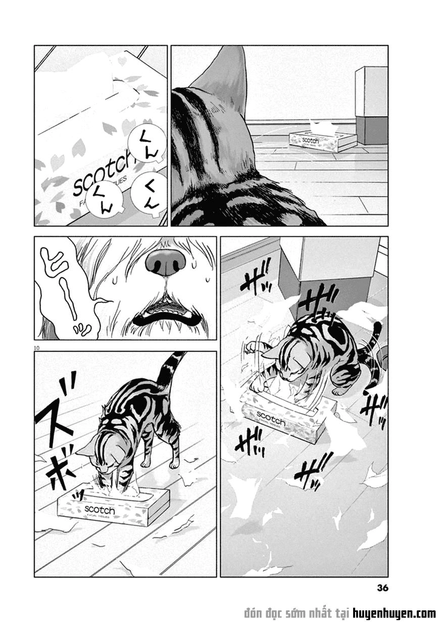 Vùng Đất Kì Diệu Chapter 2 - 10