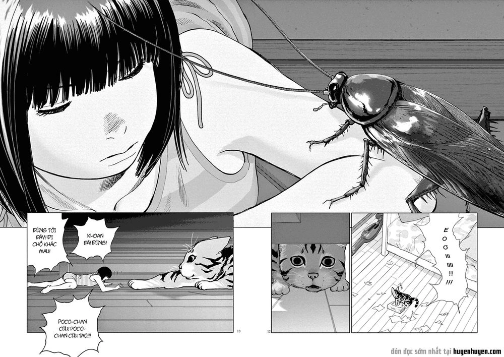 Vùng Đất Kì Diệu Chapter 2 - 12