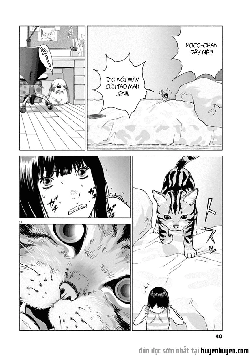 Vùng Đất Kì Diệu Chapter 2 - 13