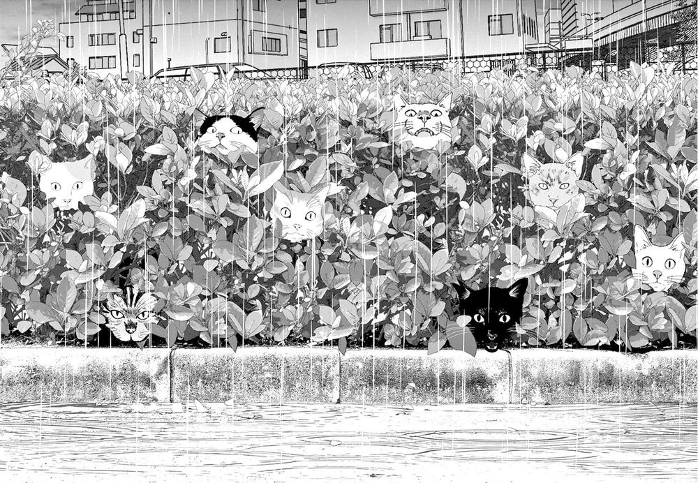 Vùng Đất Kì Diệu Chapter 9 - 18