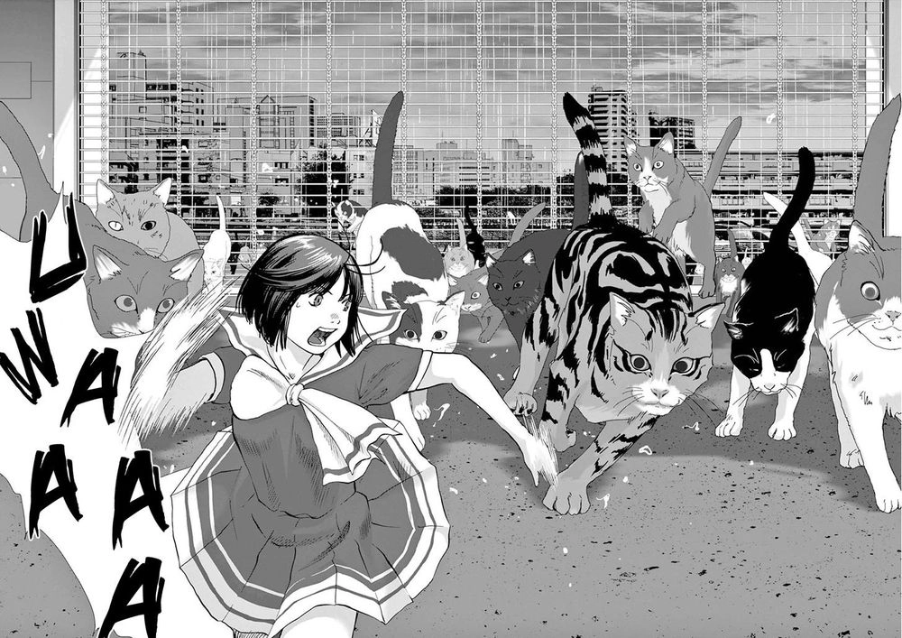 Vùng Đất Kì Diệu Chapter 10 - 11