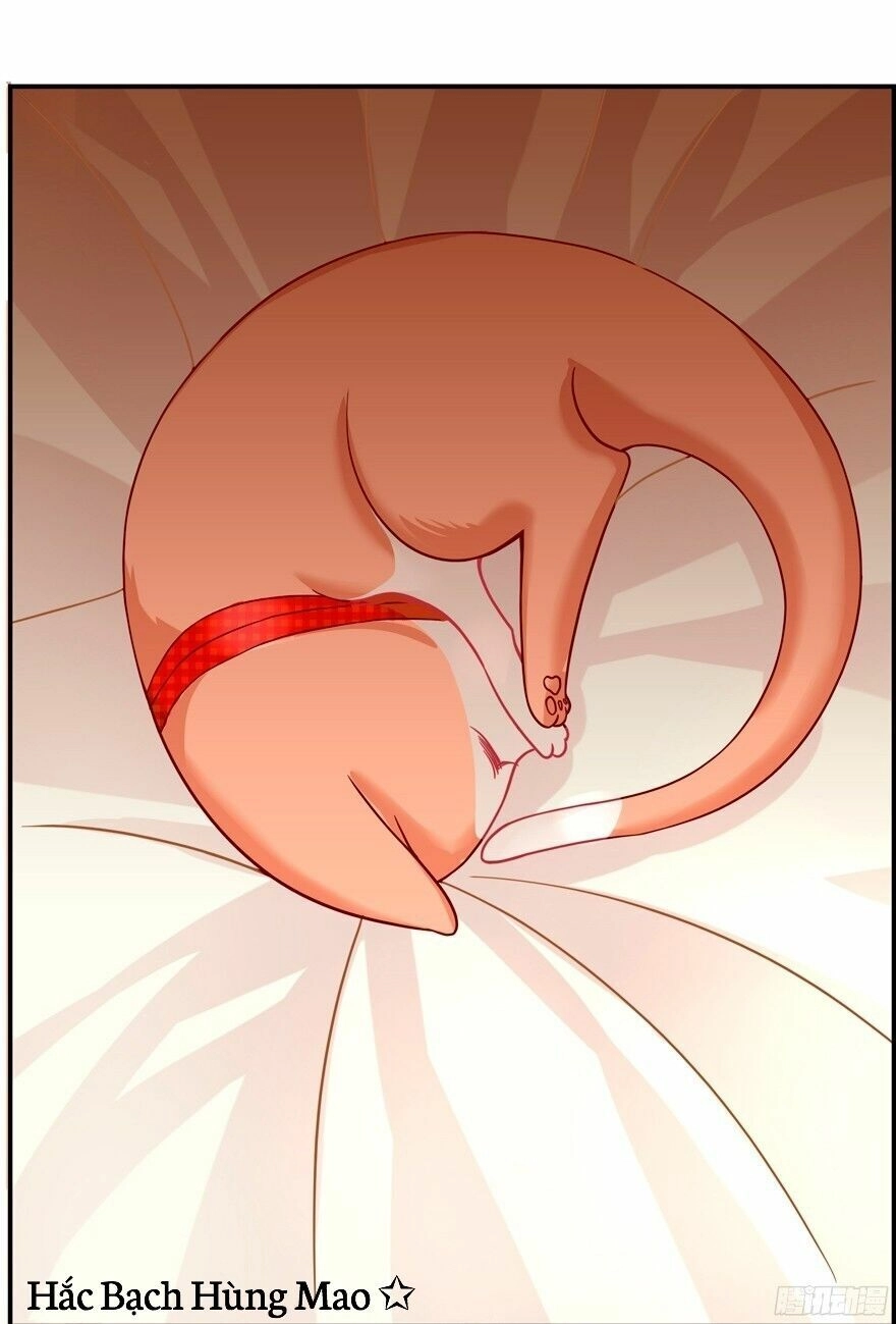 Chủ Nhân Là Ảnh Đế Chapter 1.5 - 6