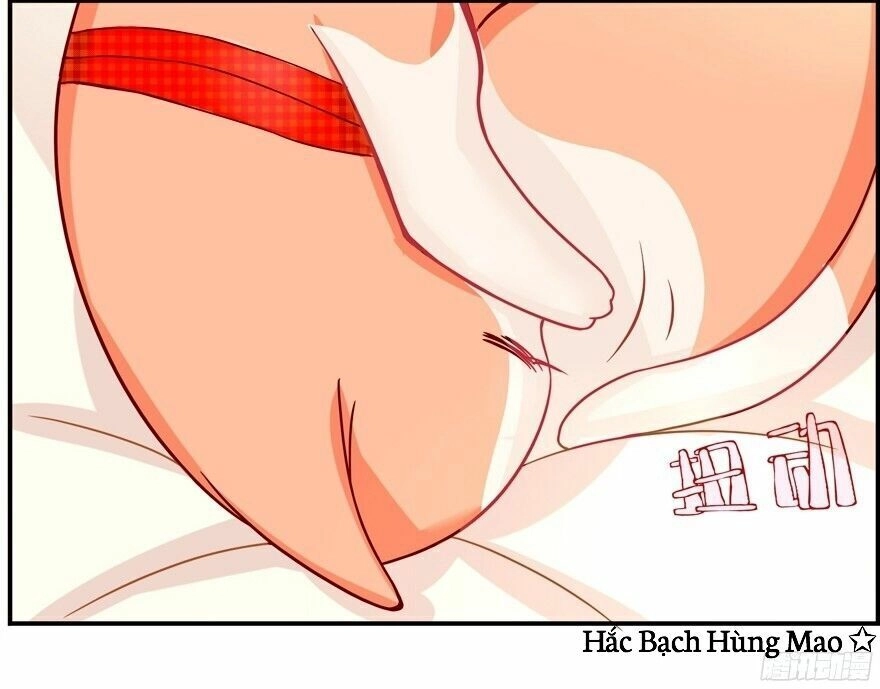 Chủ Nhân Là Ảnh Đế Chapter 1.5 - 7