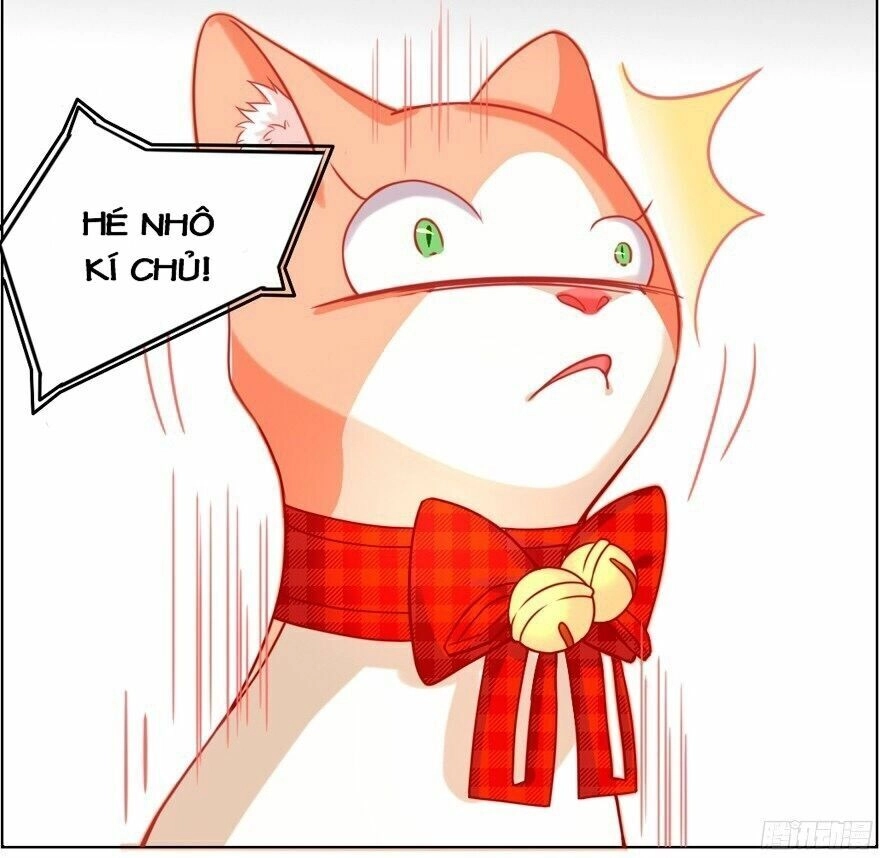 Chủ Nhân Là Ảnh Đế Chapter 1.5 - 12