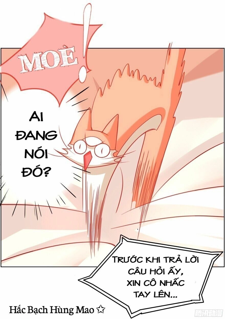 Chủ Nhân Là Ảnh Đế Chapter 1.5 - 13