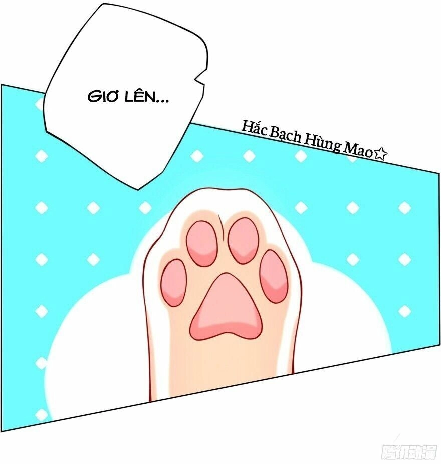 Chủ Nhân Là Ảnh Đế Chapter 1.5 - 14