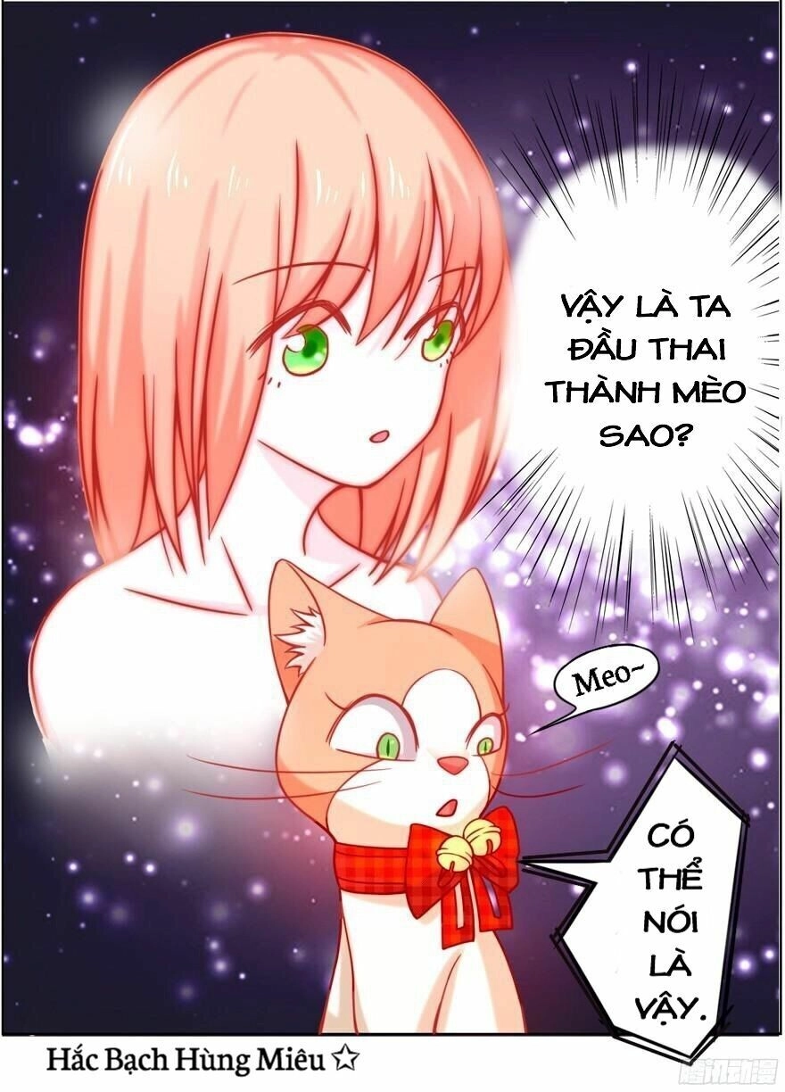 Chủ Nhân Là Ảnh Đế Chapter 1.5 - 18