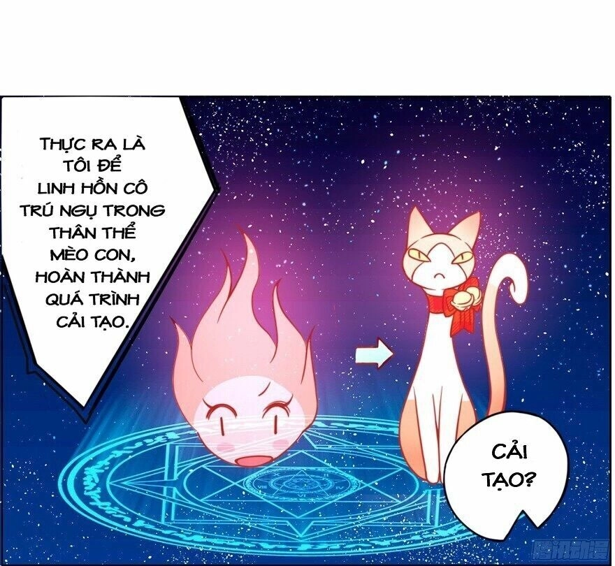 Chủ Nhân Là Ảnh Đế Chapter 1.5 - 19