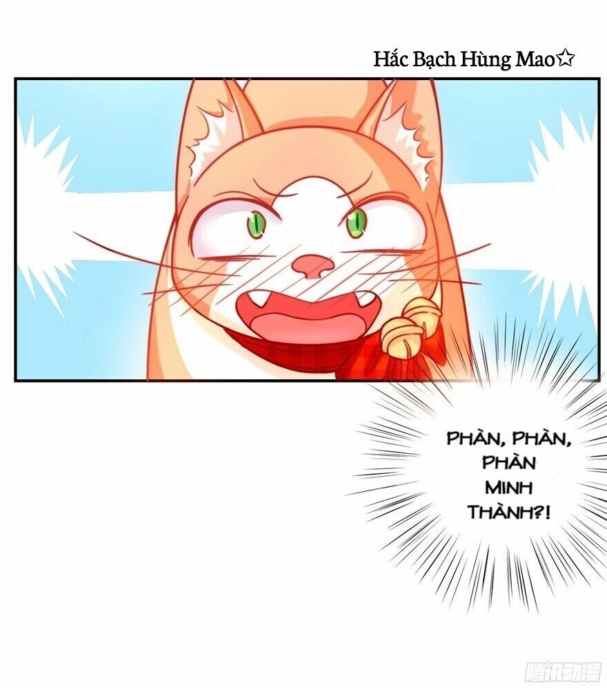 Chủ Nhân Là Ảnh Đế Chapter 1.5 - 34