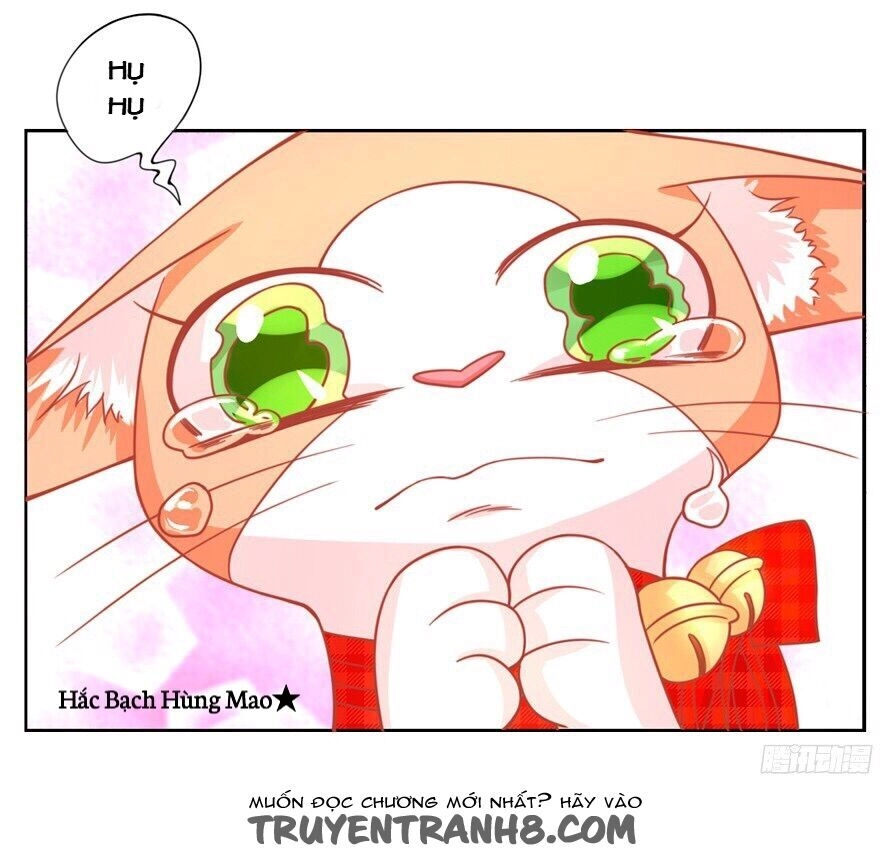 Chủ Nhân Là Ảnh Đế Chapter 1.6 - 12