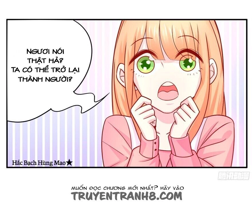 Chủ Nhân Là Ảnh Đế Chapter 1.6 - 26