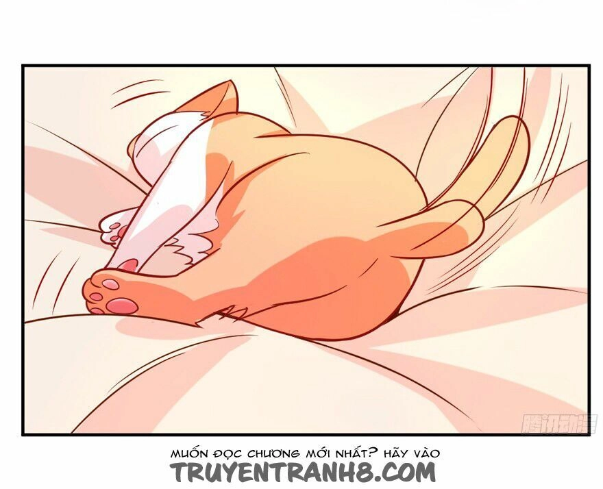 Chủ Nhân Là Ảnh Đế Chapter 1.6 - 34