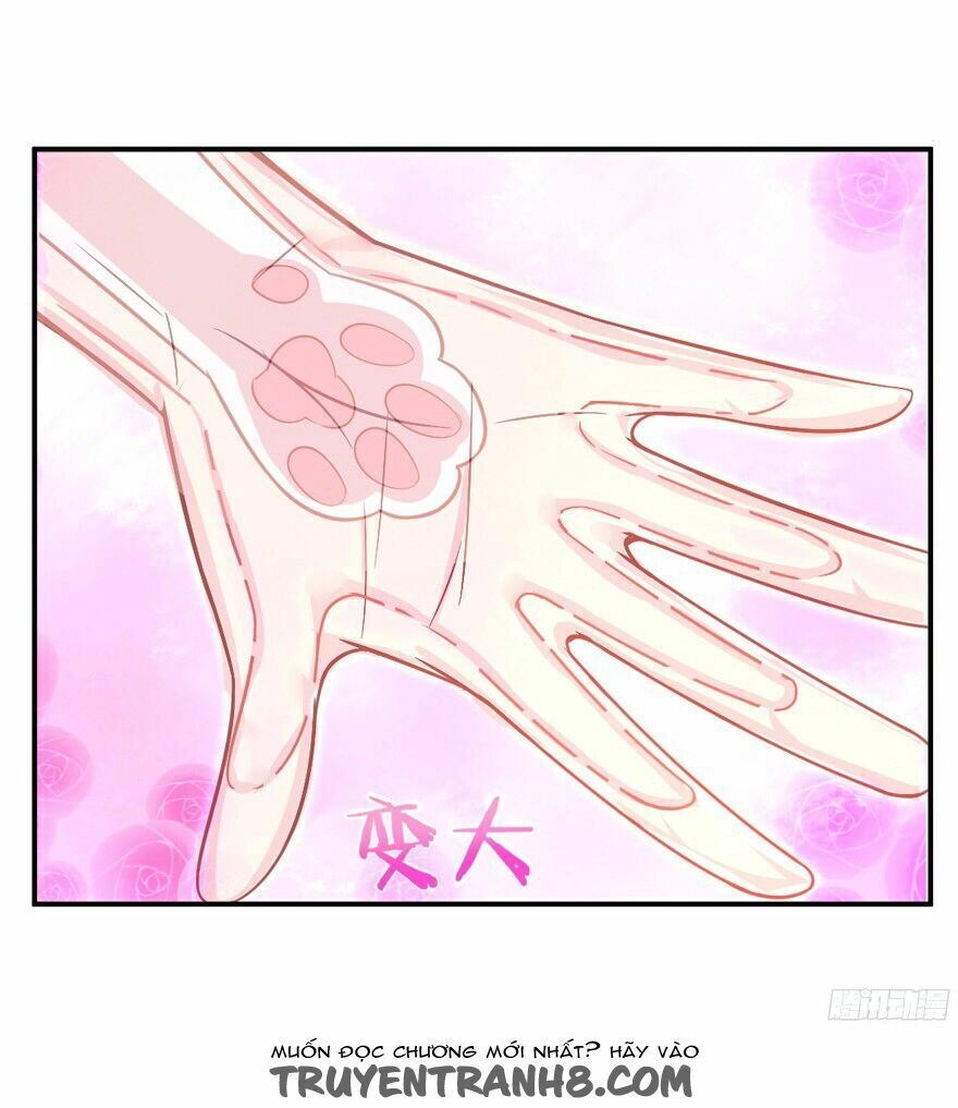 Chủ Nhân Là Ảnh Đế Chapter 1.6 - 36