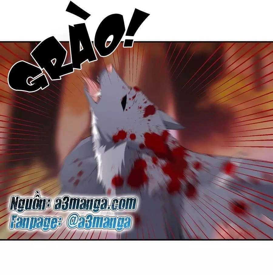 Manh Sư Tại Thượng Chapter 159 - 1