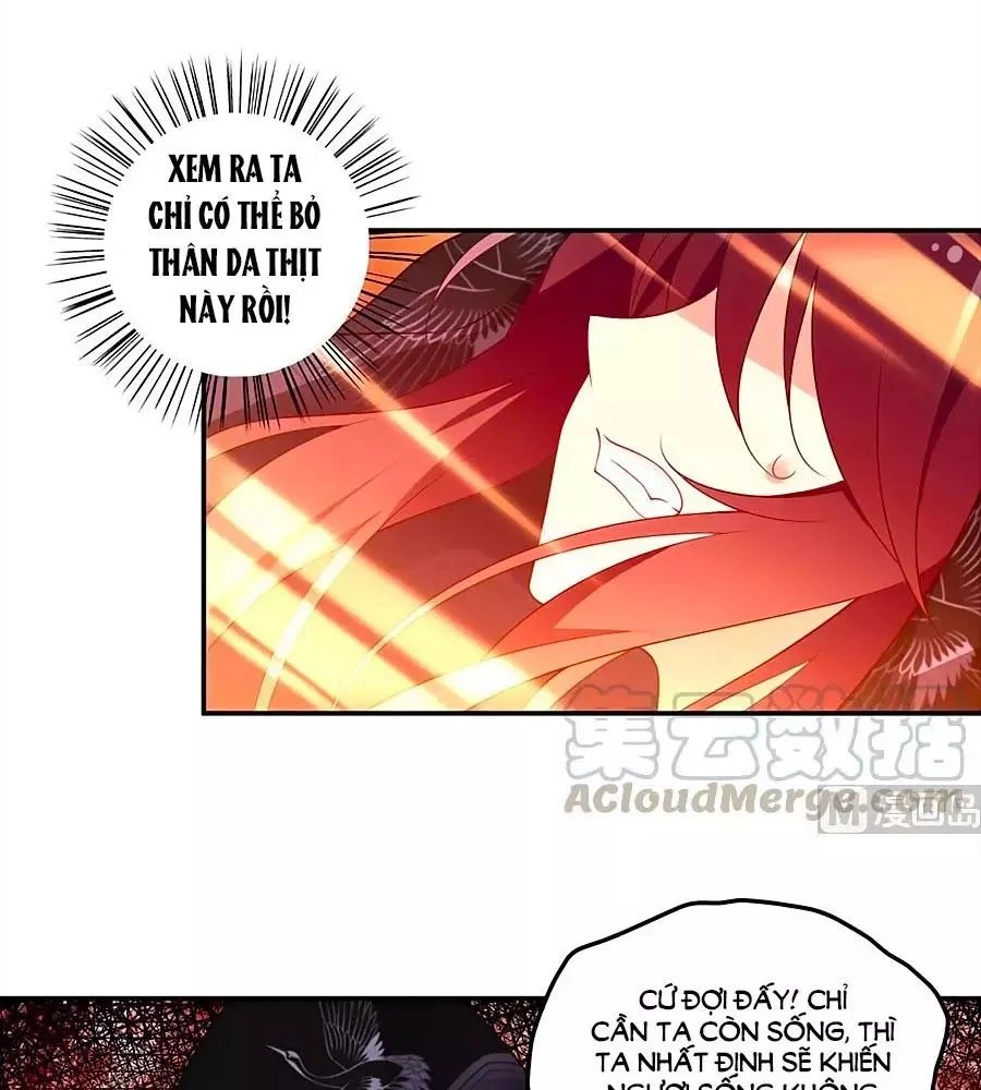 Manh Sư Tại Thượng Chapter 168 - 31