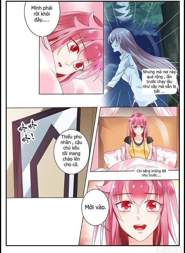 36 Kế Theo Đuổi Vợ Yêu Chapter 11 - 9