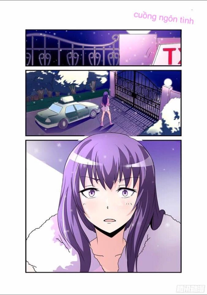 Hợp Đồng Tình Yêu Của Tổng Tài Chapter 3 - 10