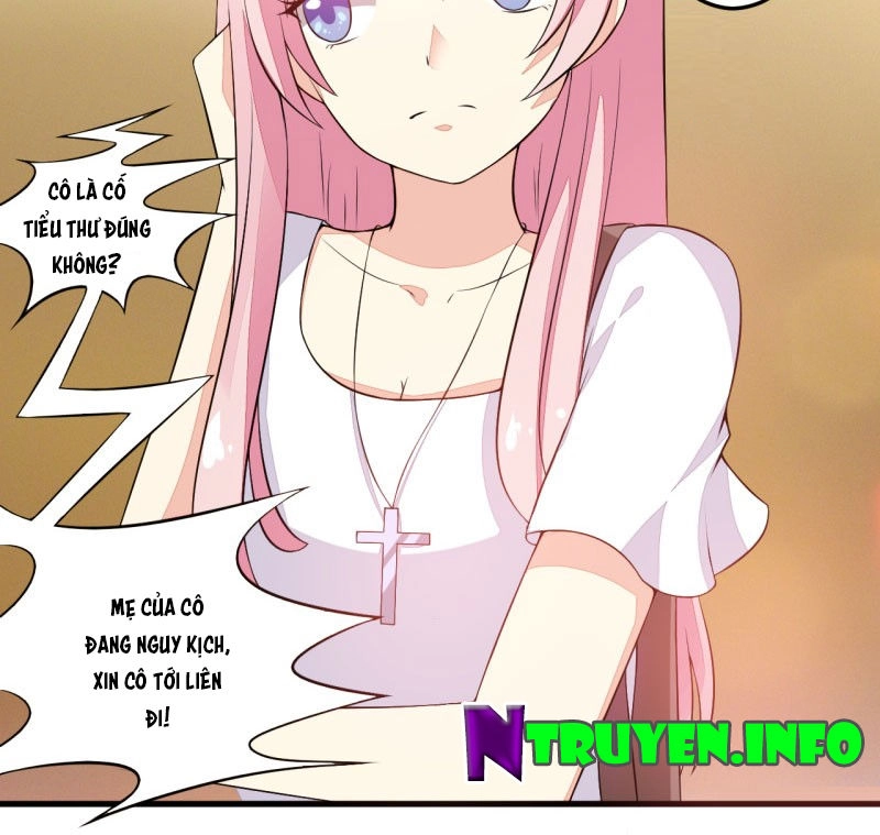 Hào Môn Cường Sủng: Vật Chơi 100 Ngày Của Tổng Tài Chapter 5 - 12