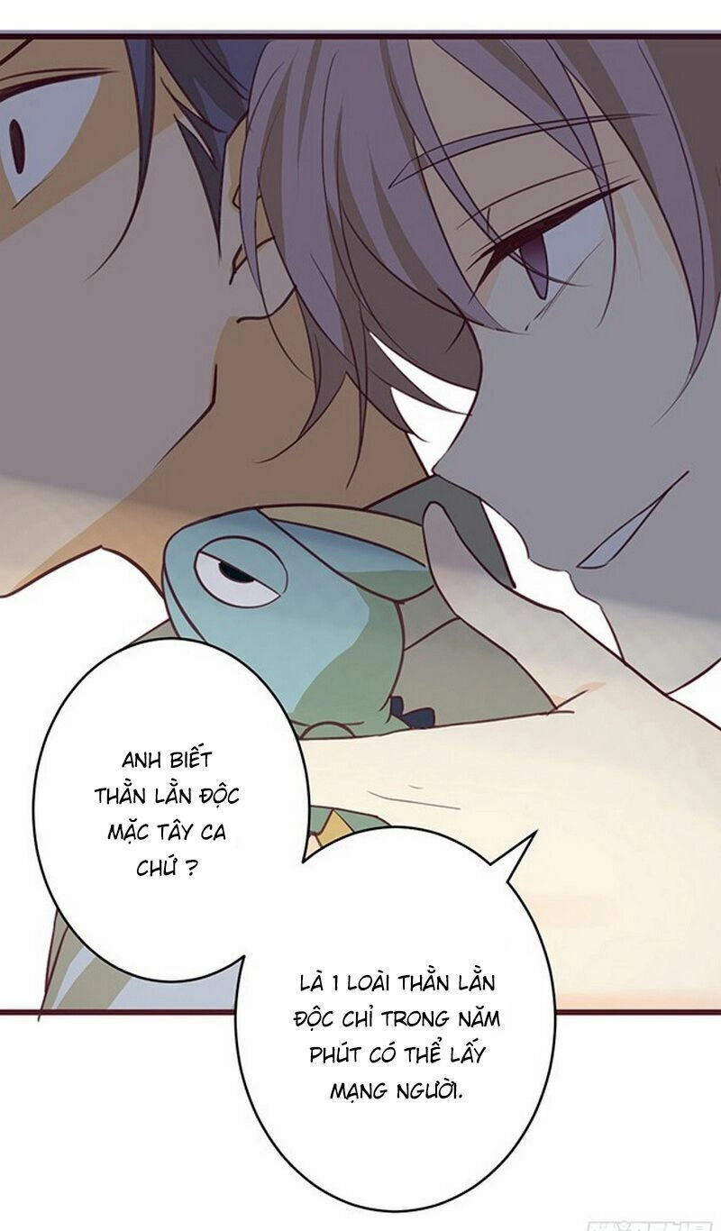 Hoa Đào Nhẹ Rơi Đẹp Như Em Chapter 4 - 8