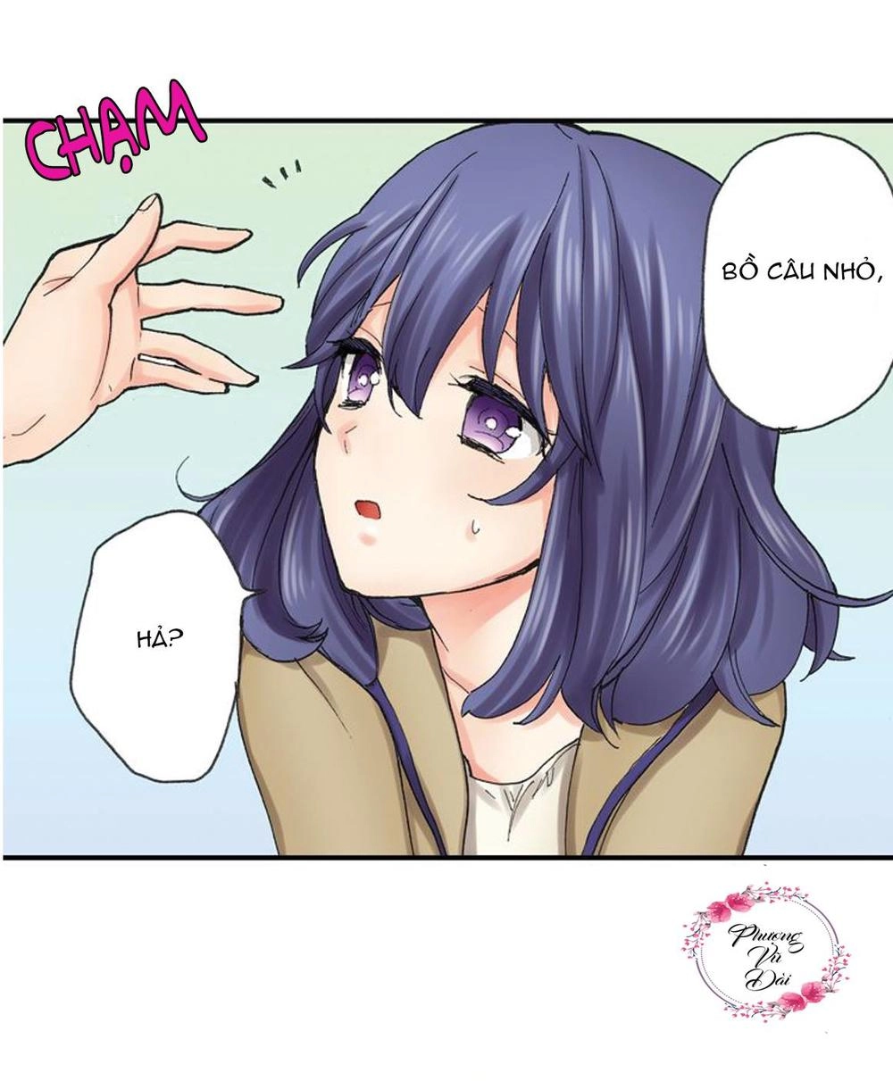 Mệnh Lệnh Tuyệt Đối Của Bá Đạo Vương Tử Chapter 8 - 41