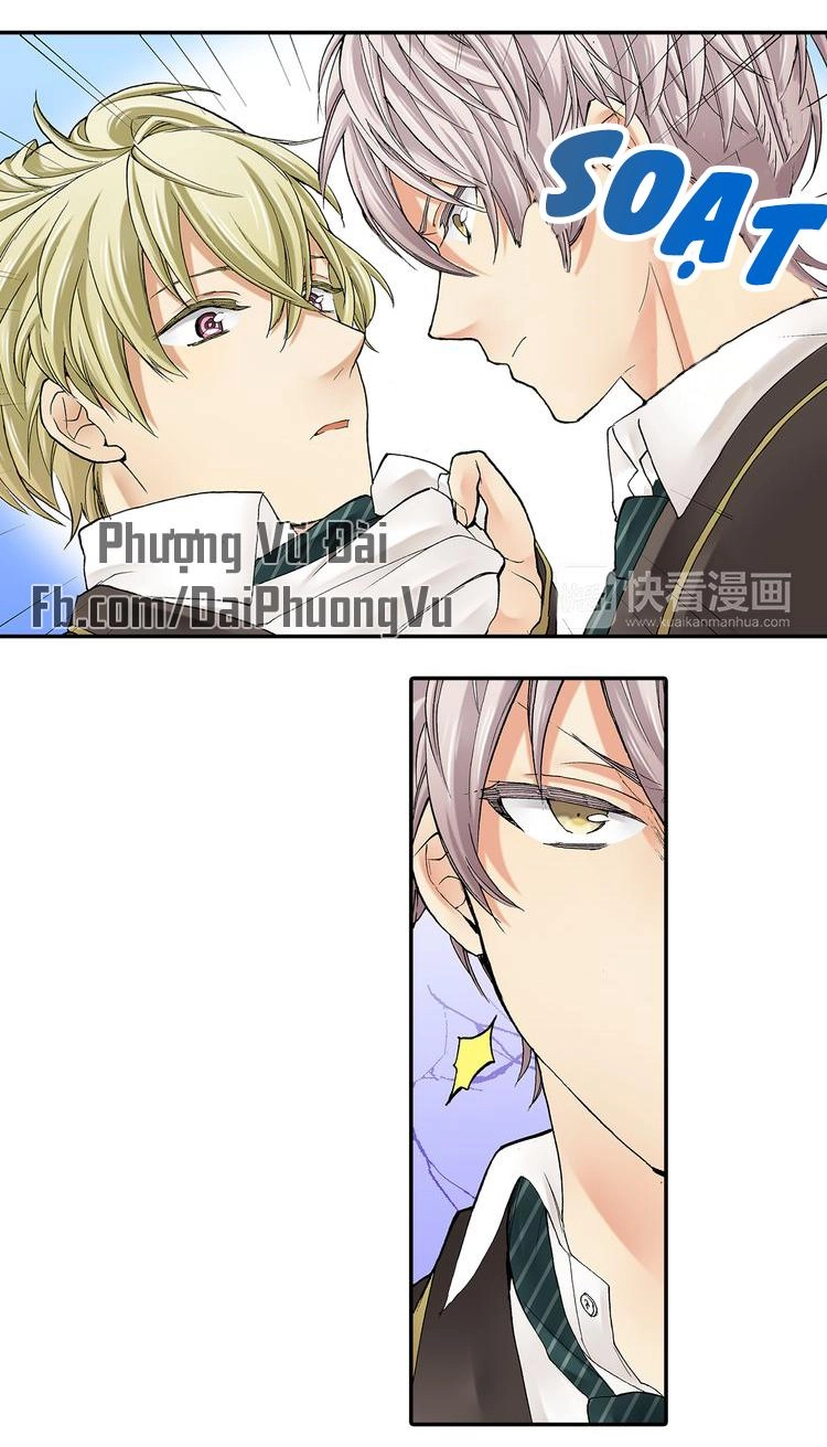 Mệnh Lệnh Tuyệt Đối Của Bá Đạo Vương Tử Chapter 16 - 3