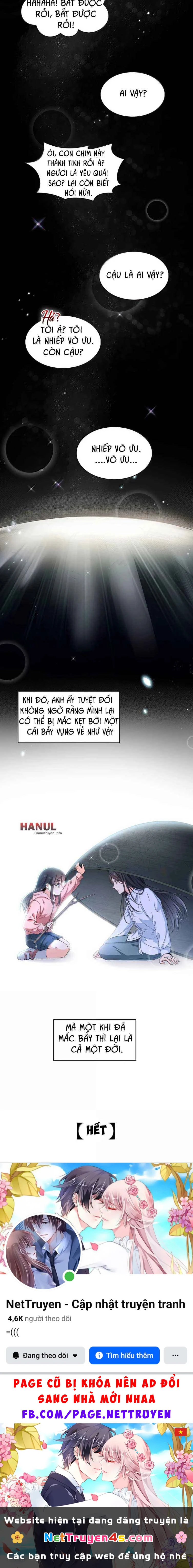 Hệt Như Hàn Quang Gặp Nắng Gắt Chapter 591: End - 18