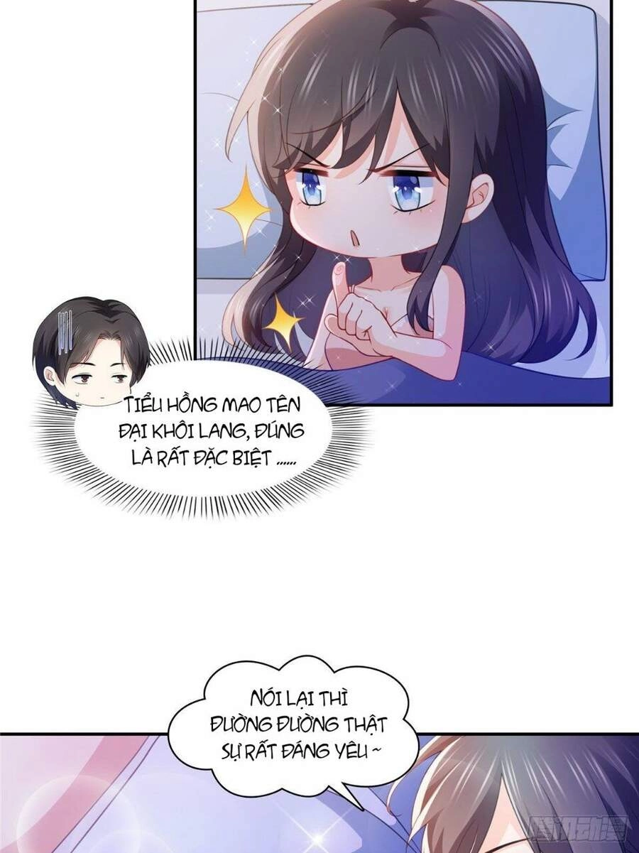 Hệt Như Hàn Quang Gặp Nắng Gắt Chapter 201 - 14