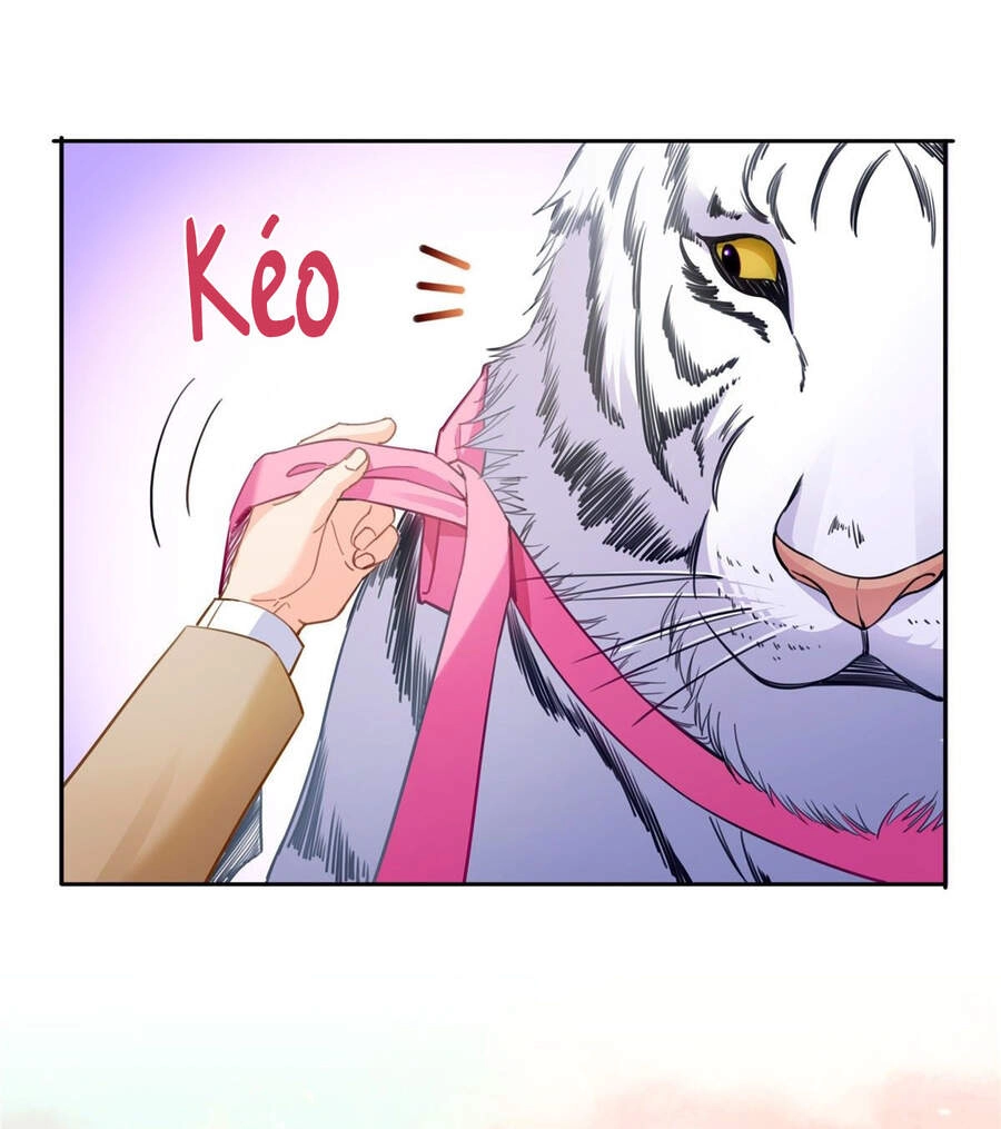 Hệt Như Hàn Quang Gặp Nắng Gắt Chapter 207.5 - 15