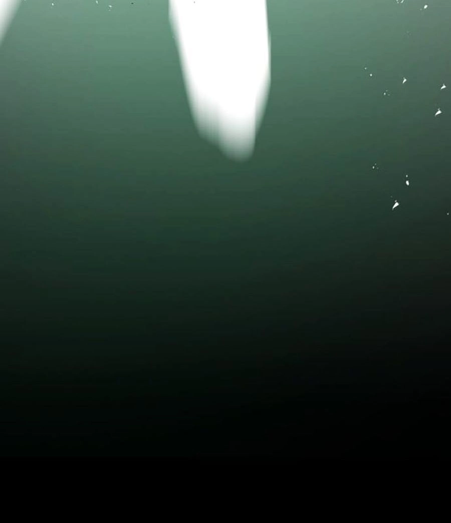 Bạn Học Của Tôi Là Lính Đánh Thuê Chapter 0 - 116