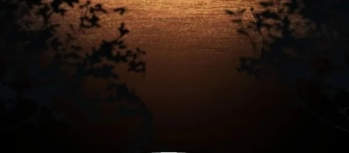 Bạn Học Của Tôi Là Lính Đánh Thuê Chapter 245 - 12