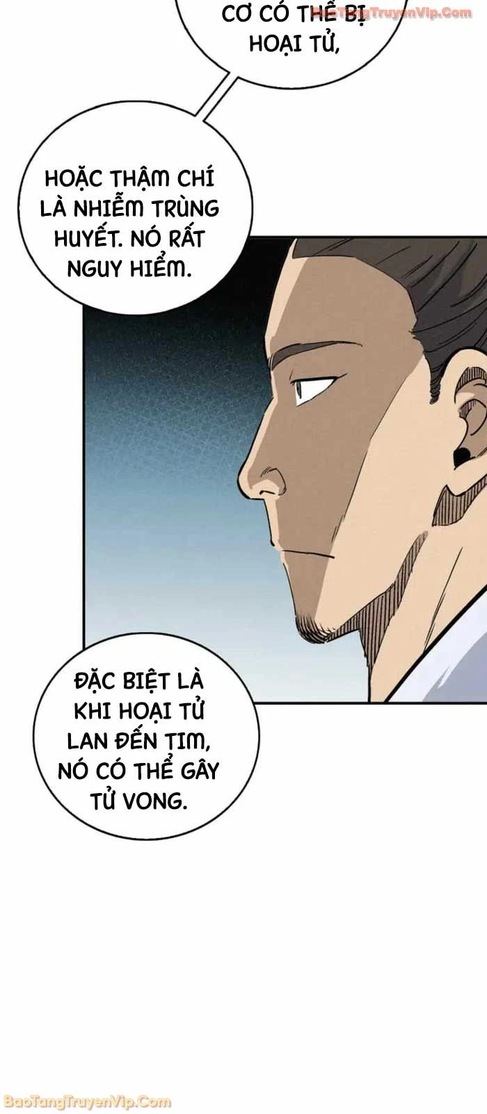 Trọng Sinh Thành Thần Y Thời Tam Quốc Chapter 172 - 12