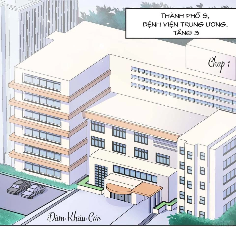 Tân Nương Xinh Đẹp Của Tổng Tài Chapter 1.1 - 3