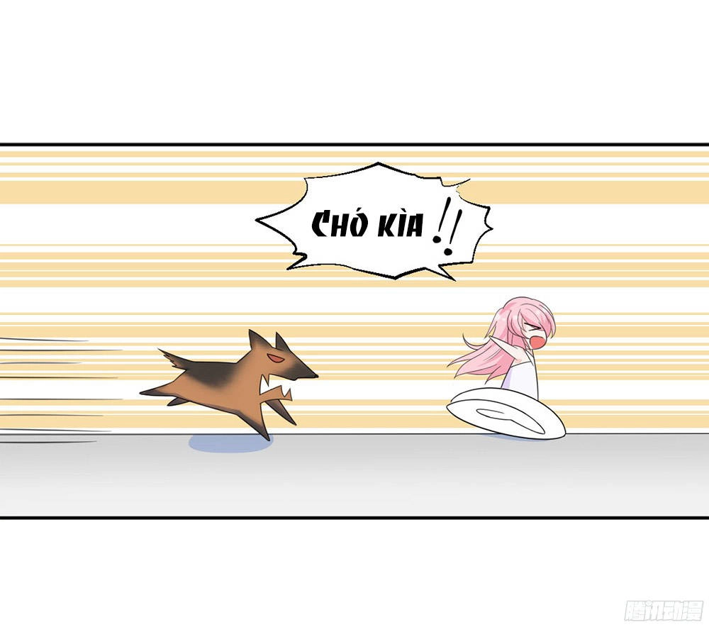 Tân Nương Xinh Đẹp Của Tổng Tài Chapter 3 - 11