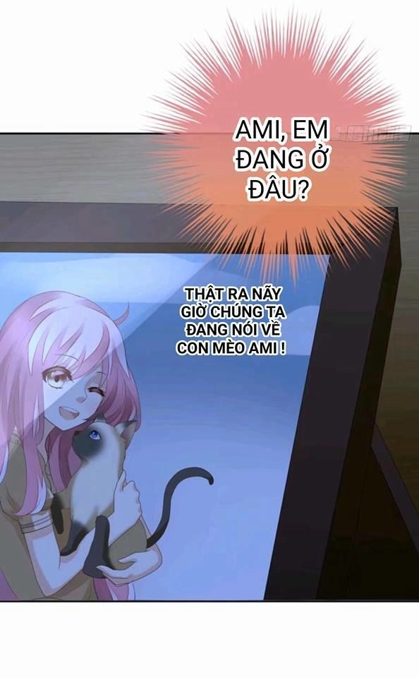 Vật Nuôi Đáng Yêu: Mèo Cỏ Của Tôi Chapter 1 - 10