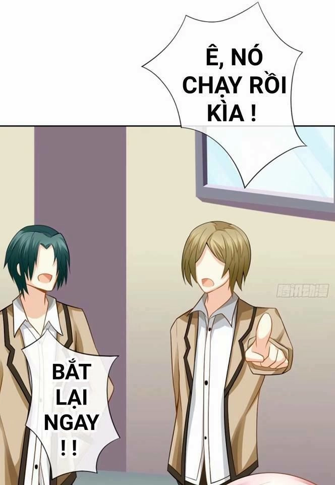 Vật Nuôi Đáng Yêu: Mèo Cỏ Của Tôi Chapter 2 - 35