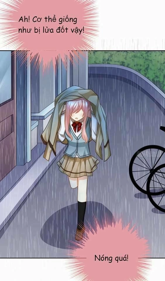 Vật Nuôi Đáng Yêu: Mèo Cỏ Của Tôi Chapter 3 - 35