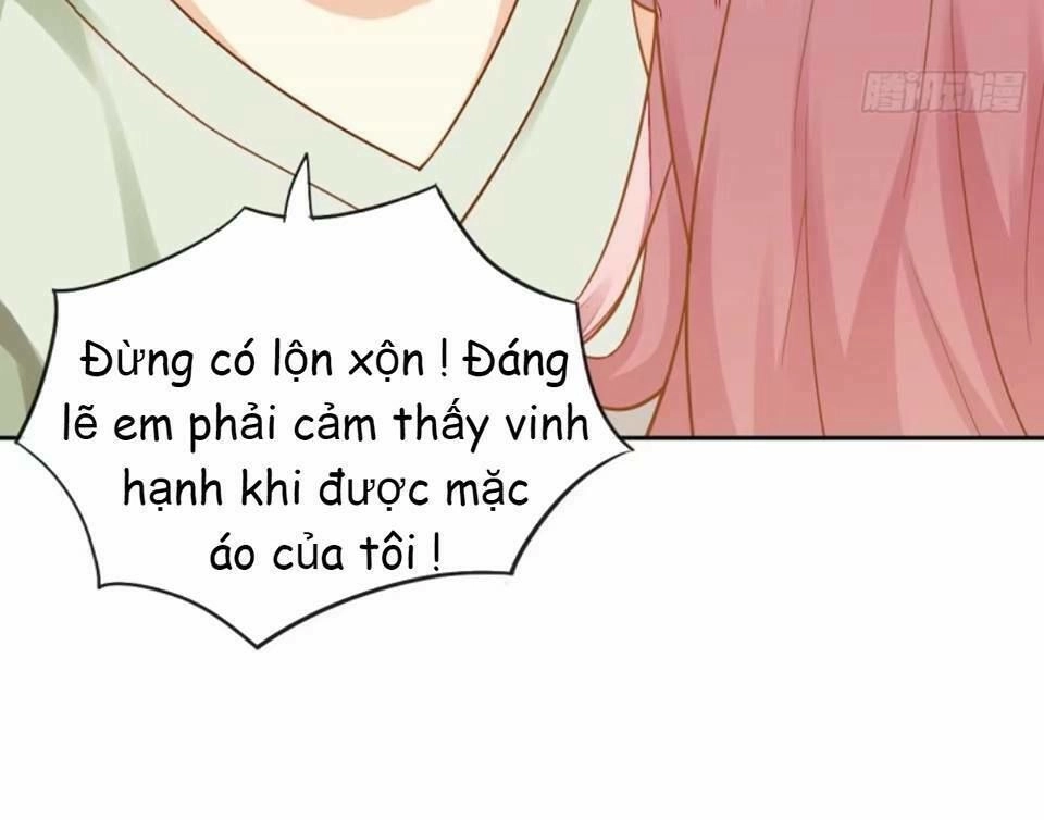 Vật Nuôi Đáng Yêu: Mèo Cỏ Của Tôi Chapter 4 - 23